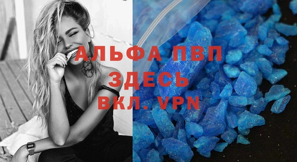 крисы Магадан