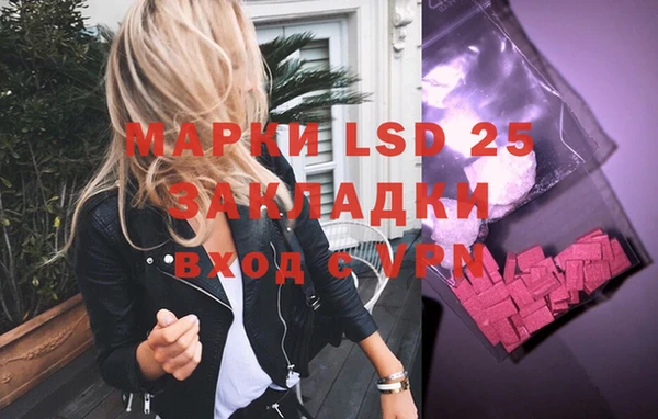 крисы Магадан