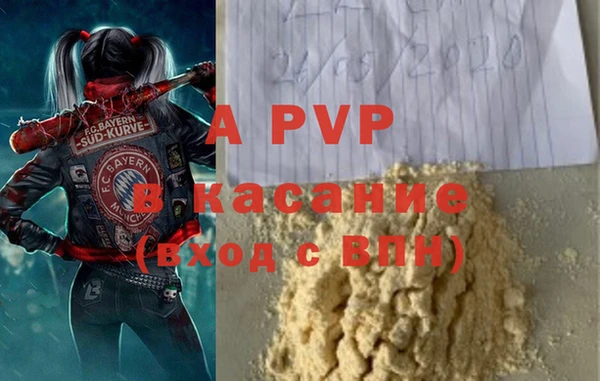крисы Магадан