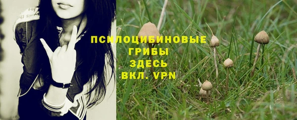 крисы Магадан