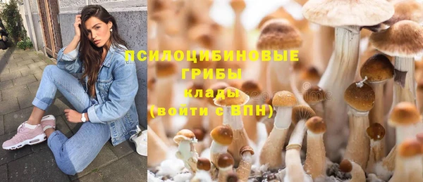 гидропоника Магас