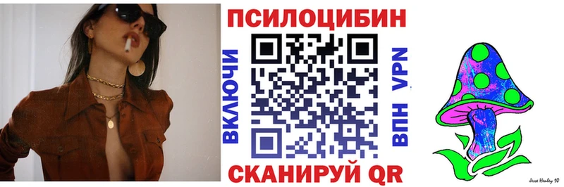 Псилоцибиновые грибы Cubensis Новоаннинский